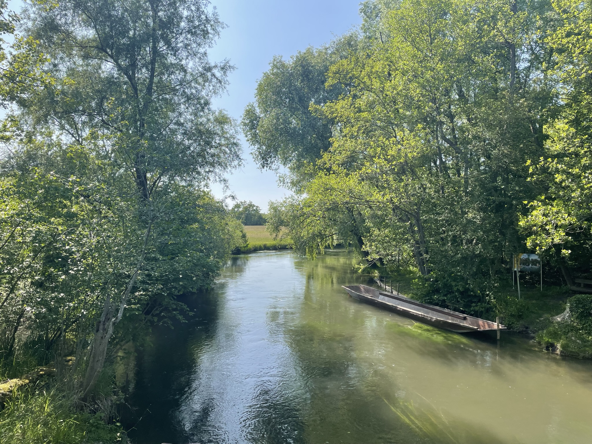Das Versprechen des Flussläufers — Taubergießen